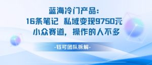 蓝海项目:16条笔记私域变现9750米小众赛道操作的人不多-云慧网创