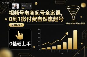 视频号电商起号全案课,0到1微付费自然流起号-云慧网创