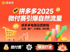 拼多多2025微付费引爆自然流量,拼多多电商运营教程,运营、推广、打爆品、微付费(更新)-云慧网创