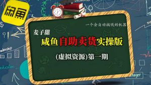 麦子甜咸鱼自助卖货实操版(虚拟资源)一个会自动搞钱的机器-云慧网创