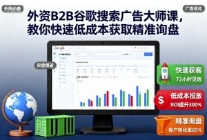外资B2B谷歌搜索广告大师课,教你快速低成本获取精准询盘-云慧网创