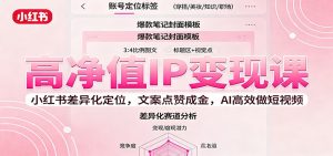 高净值IP变现课:小红书差异化定位,文案点赞成金, AI高效做短视频-云慧网创