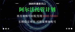 阿尔法托管计划 单账号月入3000-5000,长期稳定项目,新手小白轻松上手。-云慧网创