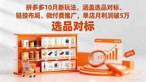 拼多多10月新玩法,涵盖选品对标、链接布局、微付费推广,单店月利润破5万-云慧网创