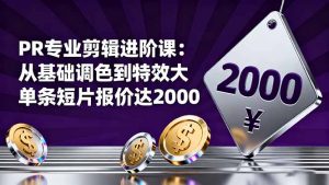 PR专业剪辑进阶课:从基础调色到特效大片的进阶技能,单条短片报价达2000-云慧网创