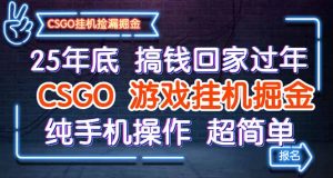 25年底搞钱回家过年,CSGO游戏挂机掘金,纯手机操作超简单-云慧网创