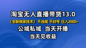 淘宝无人直播13.0,公域私域技术,不封号,不违规 布局下半年旺季赛道,日入2000+-云慧网创